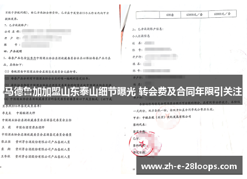 马德鲁加加盟山东泰山细节曝光 转会费及合同年限引关注